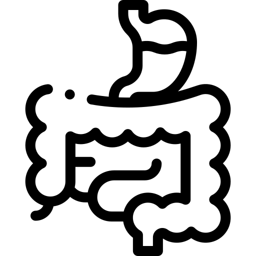 Estomac.png